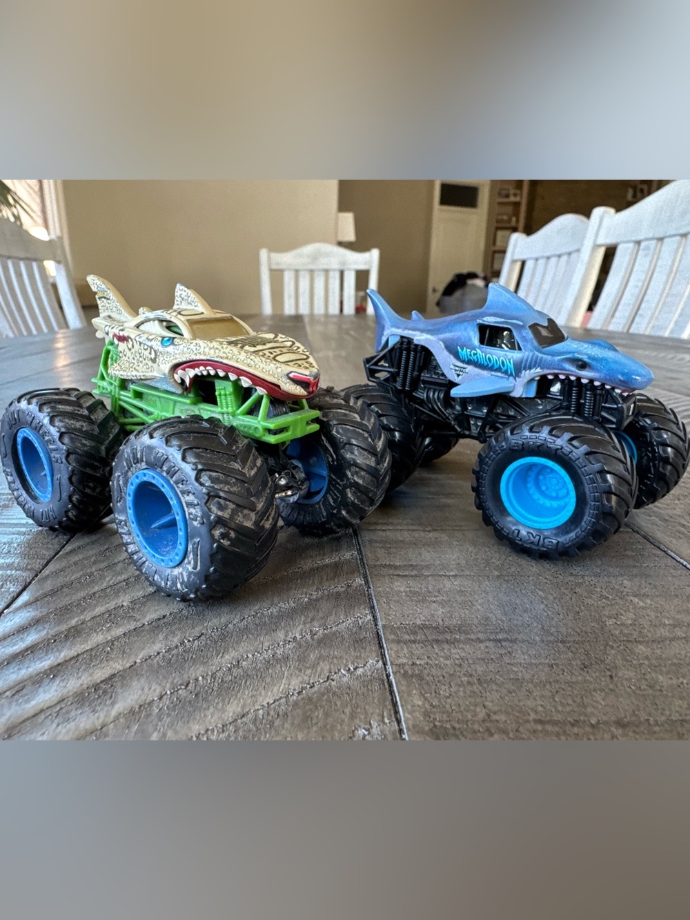 Monster Jam Megalodon Shark & Hot Wheels Leopard Shark Monster Truck Toys